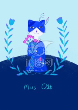 猫小姐 miss cat