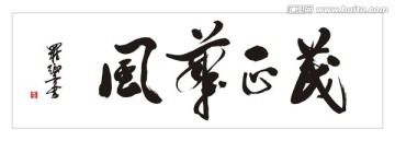 風(fēng)華正茂