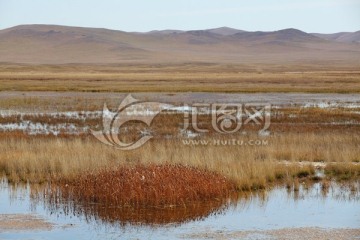 草原湿地