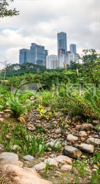 海绵城市