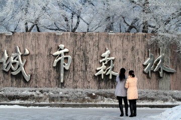 大庆 城市深林