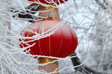 大慶 城市深林 紅燈