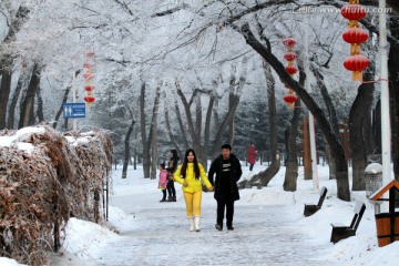 大庆 城市深林 冬天 瑞雪