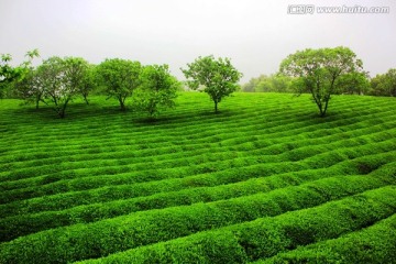 安徽敬亭山