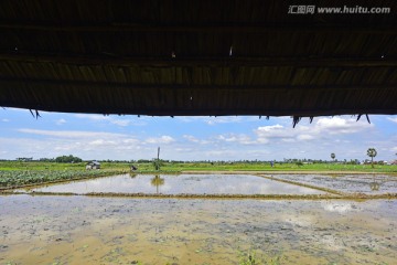 田园风光