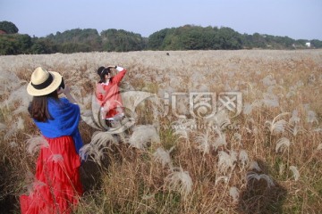 拍芦苇