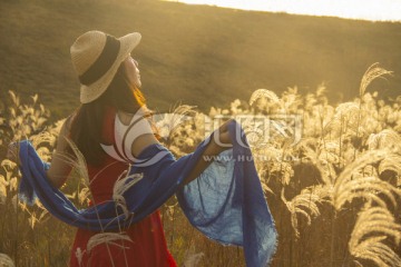 陶醉在芦苇荡中