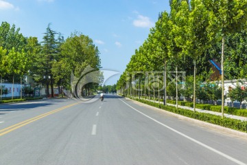 城市道路