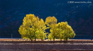 秋色 滇藏线 沿途风光