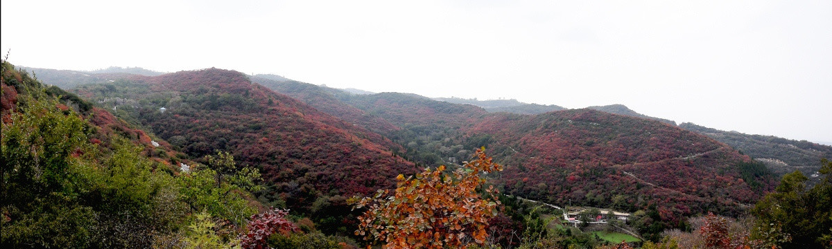 长寿山的秋季美景