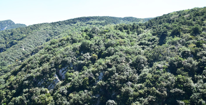 绿意葱葱的山脉风景