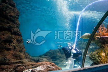 潜水员 水族箱喂食