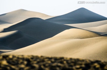 沙漠野草沙丘