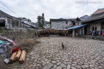 苍坡古村 木结构建筑