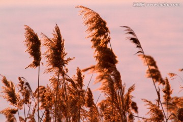 晚霞 冬天 日落 傍晚 黄昏