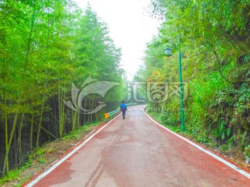 竹林步道