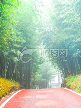 竹林步道