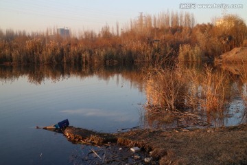 夕阳 水塘