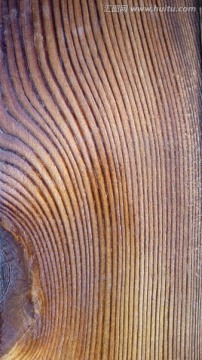 实木 木纹