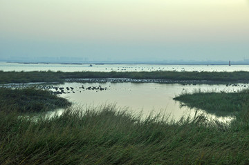 海滩风景