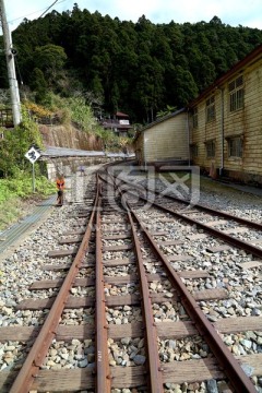 台湾阿里山 森林铁路