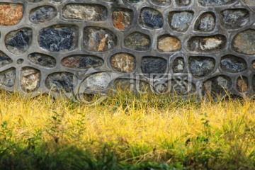 绿草花砖墙