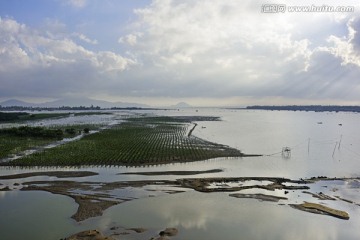 海洋文化