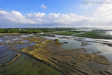 滩涂