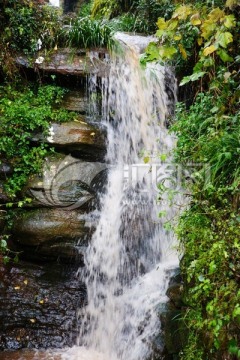 山溪流水