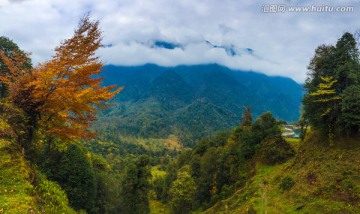 峨边黑竹沟世界迷都