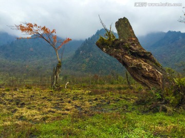 峨边黑竹沟世界迷都