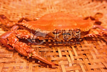 梭子蟹素材 海鲜素材 螃蟹