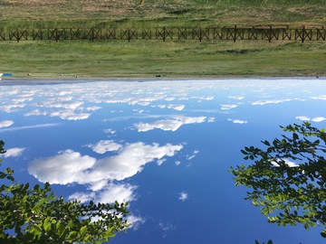 草原牧场