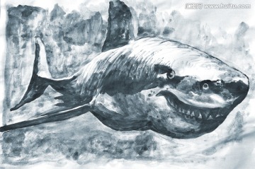 手绘鲨鱼插画