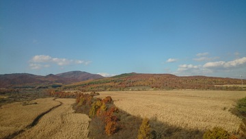 秋天的农田