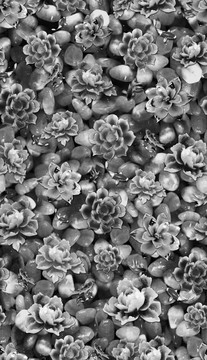 無(wú)縫拼接陶瓷花（分層）
