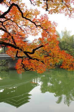 桃花江秋色