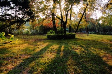 夕阳秋色