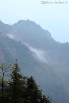 高山云雾