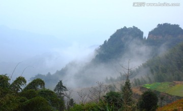 高山云雾