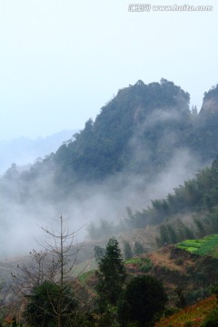 高山云雾