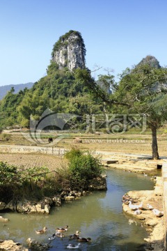 山水田園