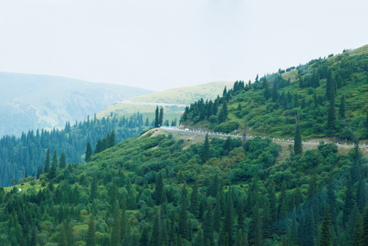 路边的风景