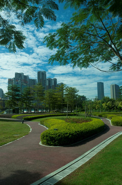 城市公园绿化