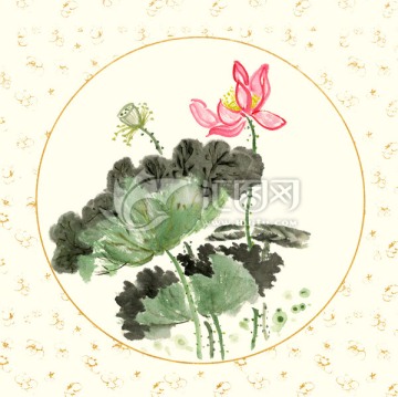 國畫荷花