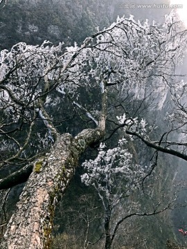 张家界 天门山 著名景点 旅游