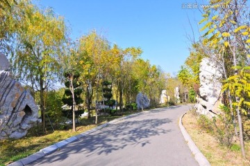 公園風景 景區綠化 園林綠化