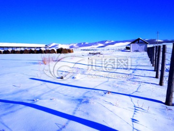 冬季雪原牧场