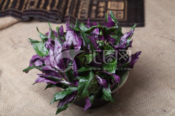 紫贝菜