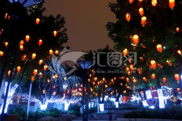 春节夜景